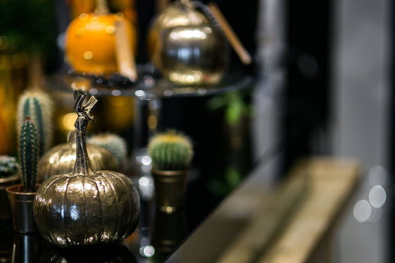 glass, ornaments, bottle, indoors, focus on foreground, still life, in a row, winery, refreshment, ornamental, wine, alcohol, cactuses, no people, lighting equipment
