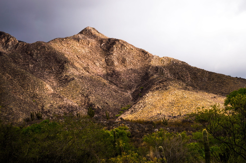 landscape, scenics - nature, mountain, cactuses, nature, clouds, travel destinations, sky, land, travel, tourism, non-urban scene, trees, forest, grass