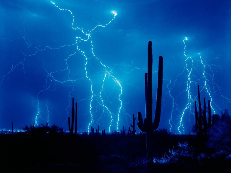 Lightning, electricity, dramatic sky, beauty in nature, Thunder-storm, cloud - sky, thunderstorm, Sky, Desert, Elements, outdoors, Cactuses, no people