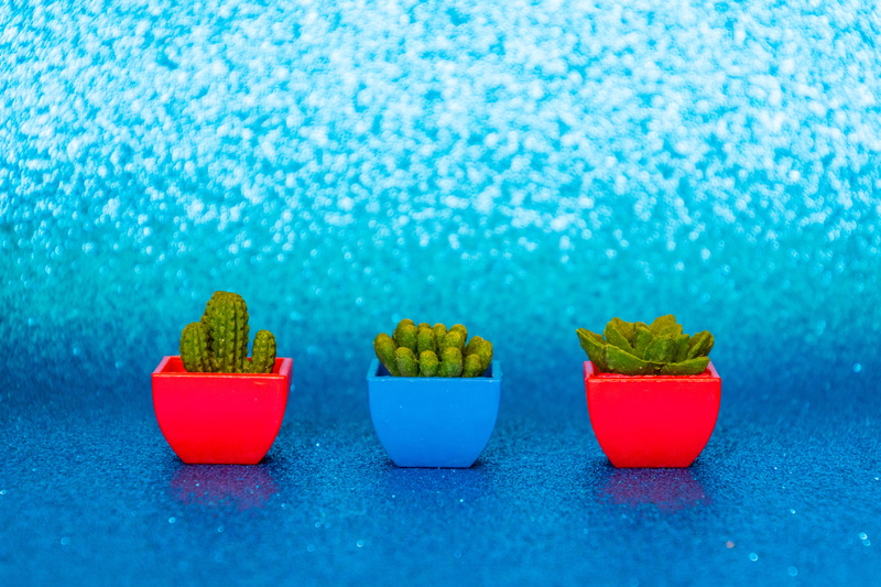 bright, art and craft, indoors, blue background, plants, green, freshness, 5K, creativity, pots, food, three, vibrant color, green color, food and drink