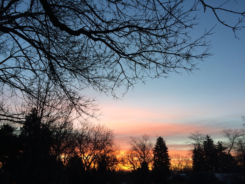 sunset, tranquility, outdoors, orange color, beauty in nature, boulder, sunrise, non-urban scene, united states, branch, scenics - nature, plant, colorado