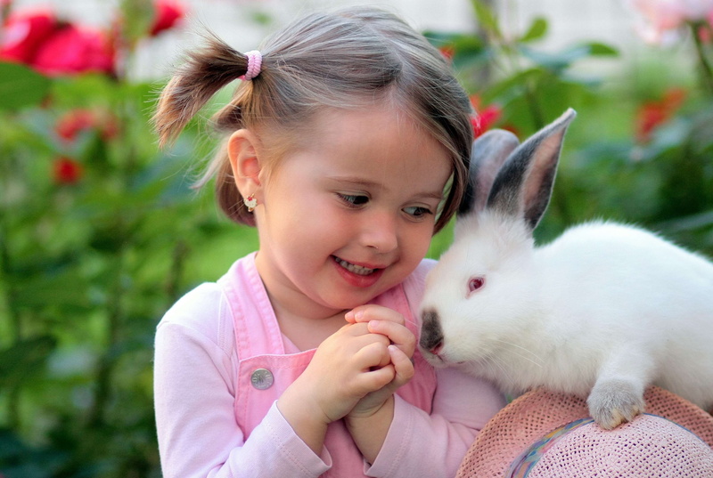 women, child, hairstyle, rabbit - animal, pets, domestic animals, females, domestic, girl, childhood, supplies, positive emotion, small, smiling, innocence