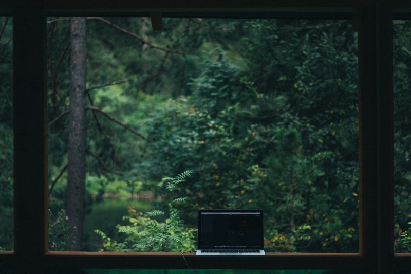 4K, day, wooden, trees, laptop, window, flat screen, communication, nature, focus on foreground, wireless technology, no people, land, brown, woodland
