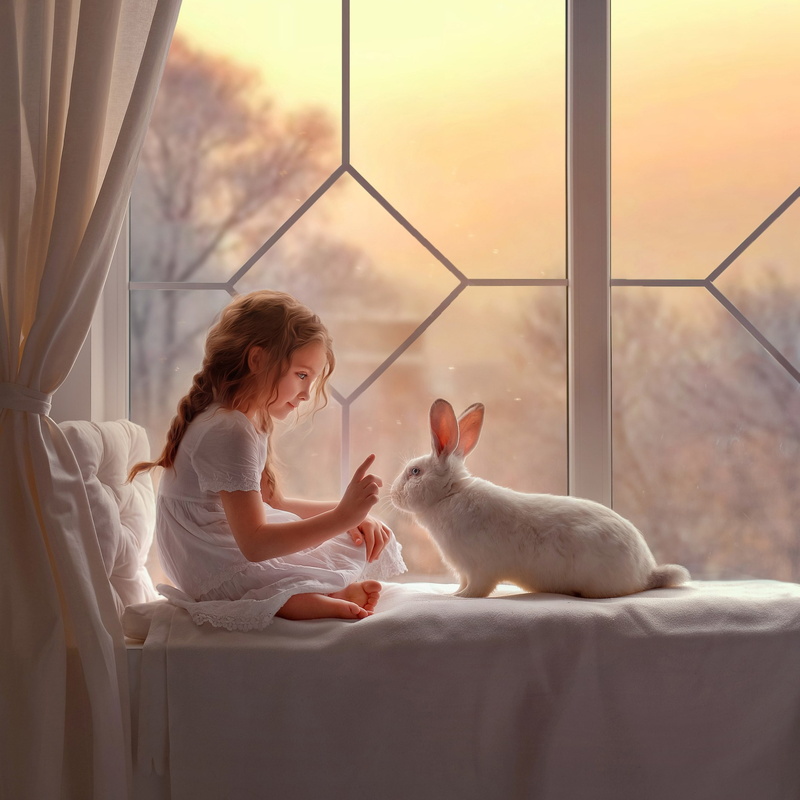 white rabbit, rabbit, window, mood, girl, 1080P