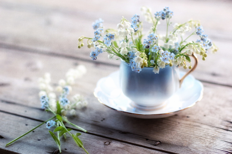 botany, cup, no People, food and drink, selective focus, crockery, white, purple, blossom, leaf, mug, rustic, organic, herb, flowering plant, table, close-up