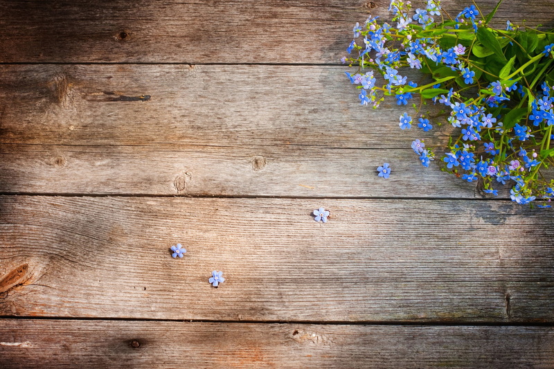 forget-me-nots, lavender, Board, blue, rustic, textured, brown, plank, 1080P, close-up, season, plant, petaled, nature, flowering plant, flower Head, tree
