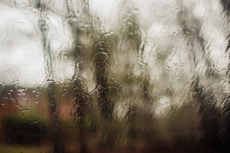 cold, season, fog, transparent, glass - material, rain forest, glass, drop, outdoors, wet, painting, rain, rainy season, indoors, raining, tree, dew, no people