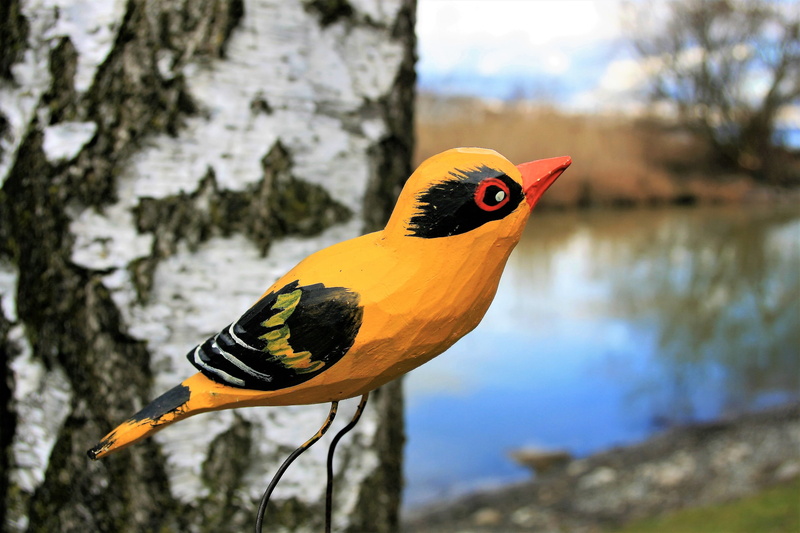 vertebrate, perching, seasons of the year, wooden, close up, landscape, ornament, texture, side, bird, one animal, no people, toy, plant, birch, little bird