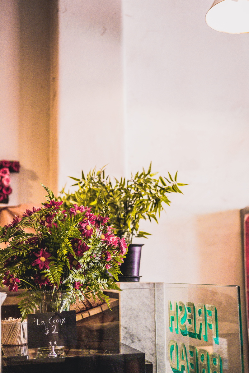 sign, flora, houseplant, decoration, grand central market, text, wall - building feature, leaf, green color, no people, petaled, arrangement, potted plant