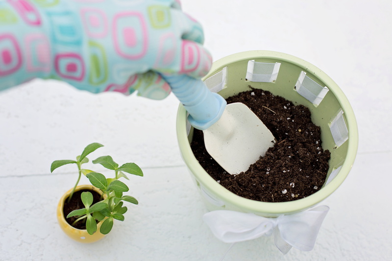 pot, chocolate, cup, plant part, sweet food, indoors, agriculture, spring, human hand, nature, food, drink, freshness, growth, seedling, container, green