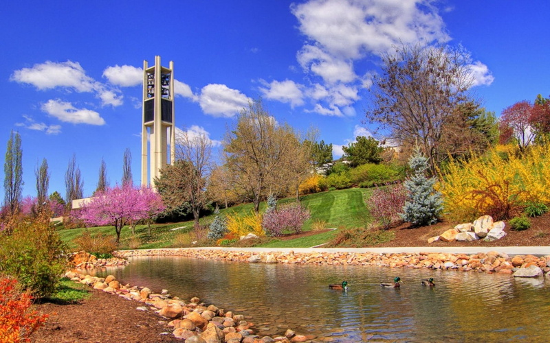 spring, 720P, nature, botanic, landscape, hd