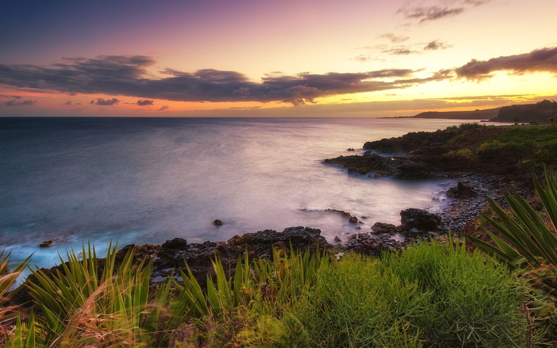 beach, beauty In Nature, water, growth, coastline, cloudscape, dawn, tropical Climate, sunset, scenics, bay Of Water, sea, aloe, spain, outdoors, 2K, cliff