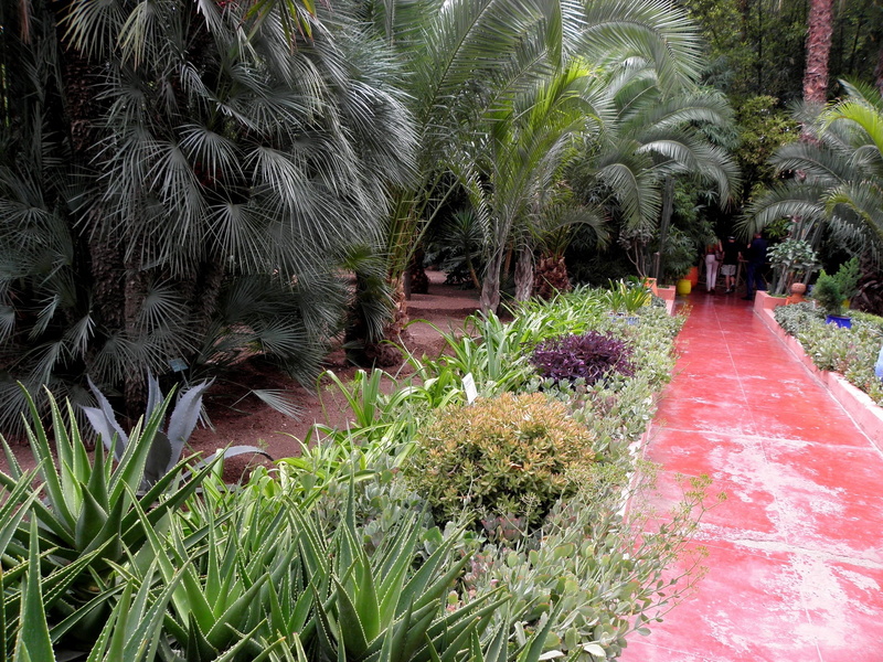 footpath, no People, water, palm Tree, formal Garden, plants, beauty In Nature, path, leafed, growth, ornamental Garden, the way forward, tree, aloe, 1080P