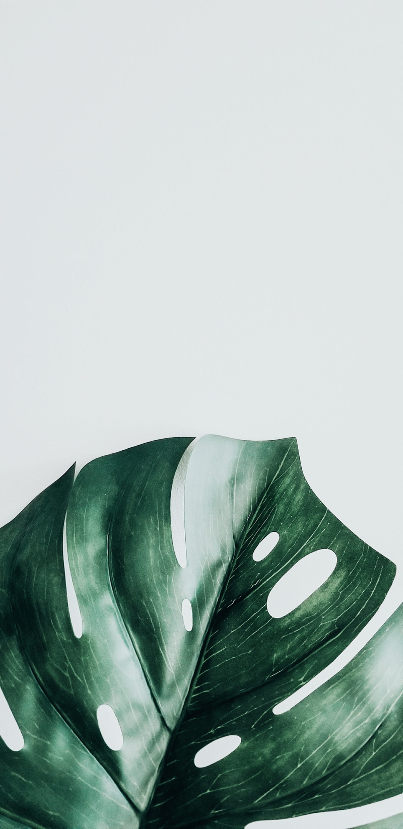 art and craft, pattern, studio shot, emotion, blossom, symbol, money, tulip, built structure, iris, leaf, coin, plant, machine, green, tire, no people