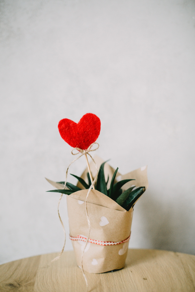 still life, heart, ribbon - sewing item, shape, flowering plant, valentines day - holiday, close-up, bow, 5K, color, vase, twine, ribbon, indoors, plant