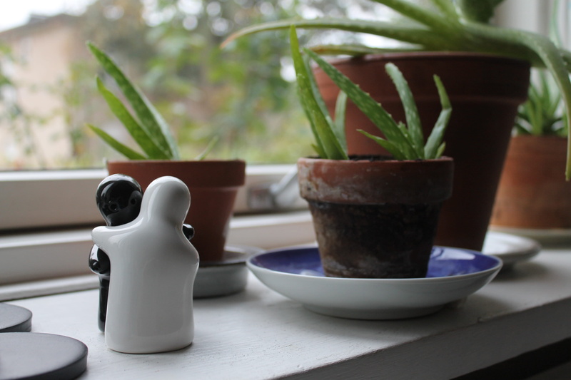 ceramics, plant, vera, aloe, bowl, close-up, day, no people, household equipment, focus on foreground, food and drink, aloe vera, flower pot, table, salt - seasoning