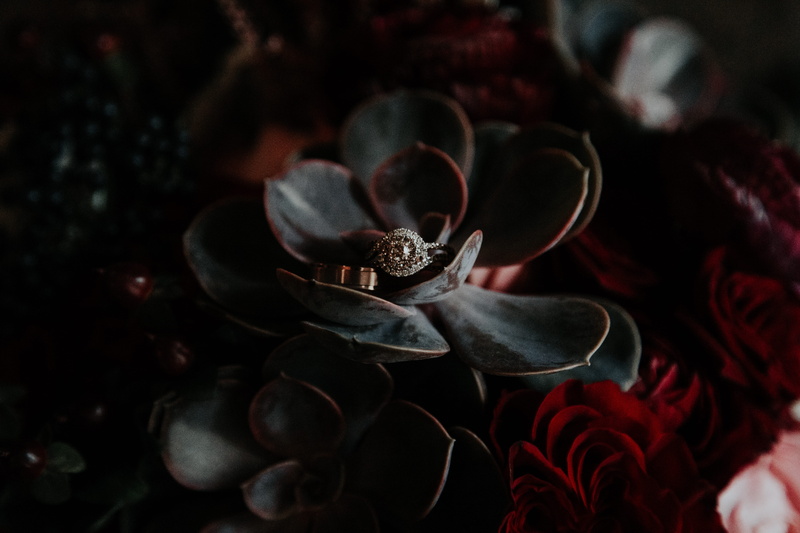 focus on foreground, flower head, flower, flowers, selective focus, red, flower arrangement, black, no people, silver, 5K, fragility, ring, leaf, floral