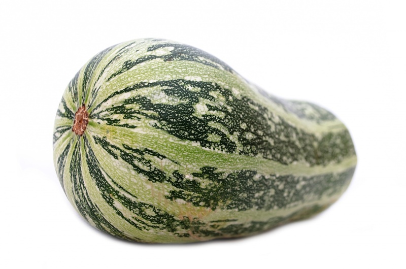 gourd, green color, isolated white, food and drink, no people, green, whole, ripe, low perspective, healthy eating, food, produce, pumpkin, focus on foreground