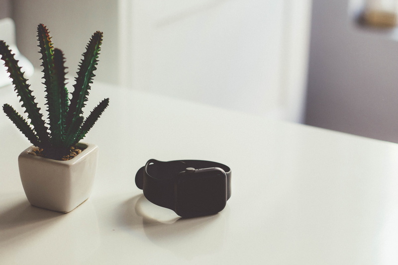 5K, cactus, potted plant, indoors, nature, succulent plant, vase, sport, flower pot, white color, watch, exercise, black color, beside, houseplant, no people