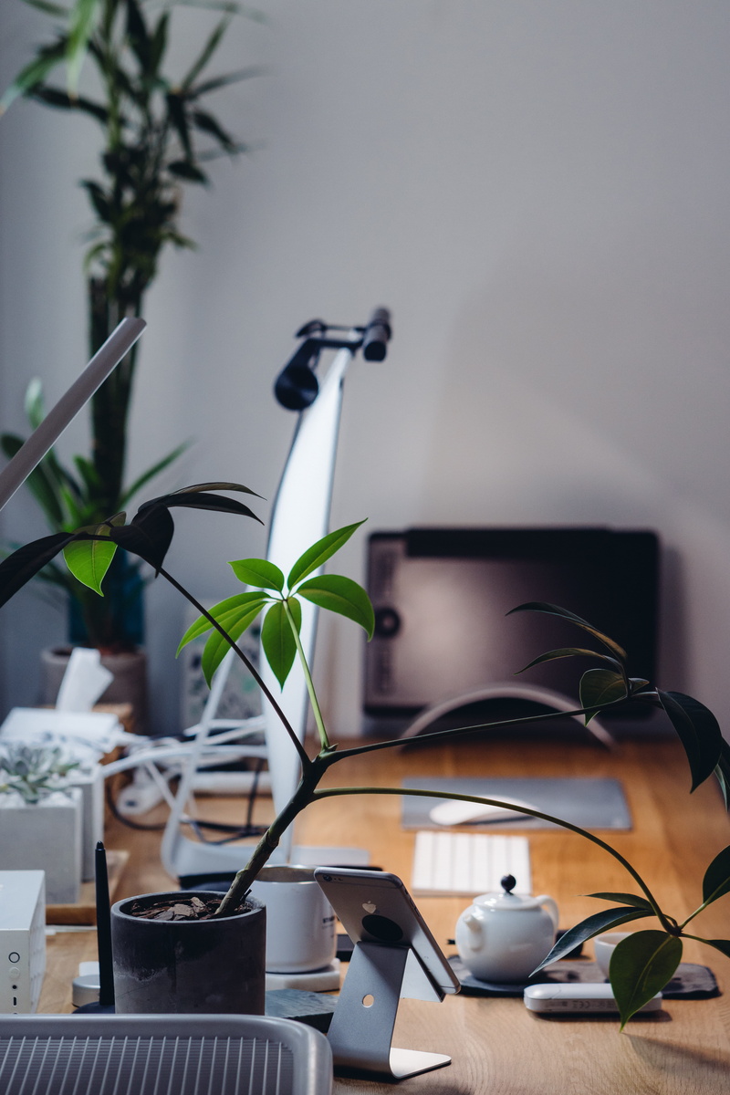 domestic Room, plant, electric Lamp, inside, imac, decoration, technology, flower, focus, computer Monitor, leaf, interior design, photo, design, equipment