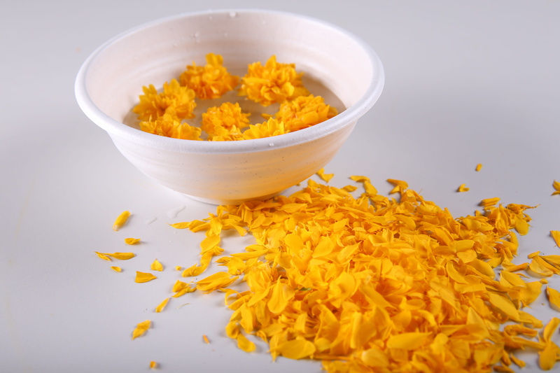 close-up, spice, wellbeing, healthy eating, high angle view, indoors, indian food, no people, orange color, table, plants, ready-to-eat, plant, orange petal
