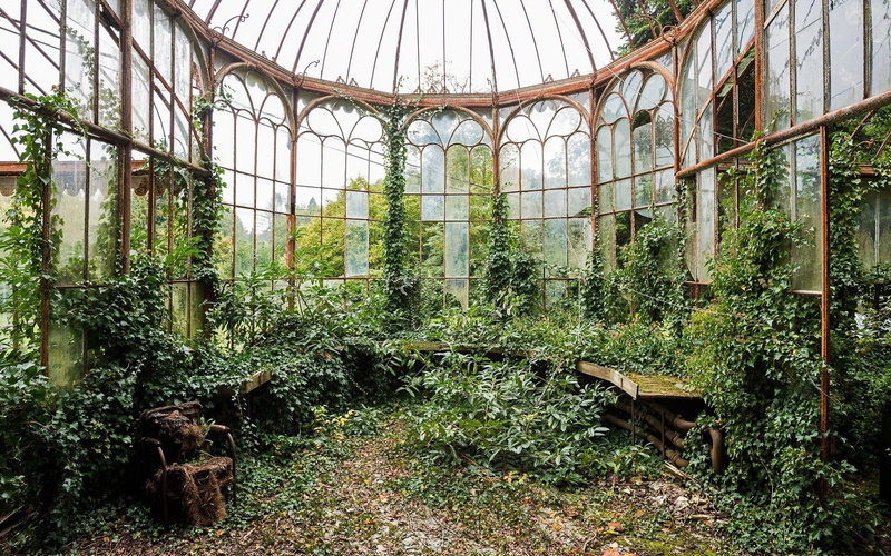 green color, plant nursery, damaged, old, outdoors, day, land, ruined, metal, architecture, run-down, plant, no people, obsolete, plants, nature, abandoned
