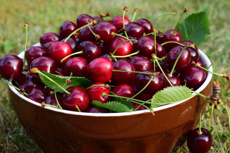 basket, abundance, close-up, full, no people, ceramic, ripe, food, food and drink, large group of objects, plant, sweet, nature, container, cherry harvest