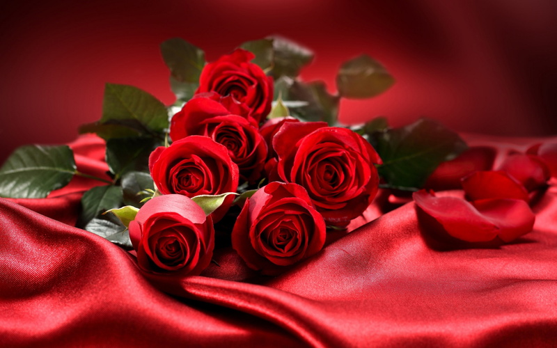 day, flowers, bouquet, roses, red, valentine, 2K, love, s