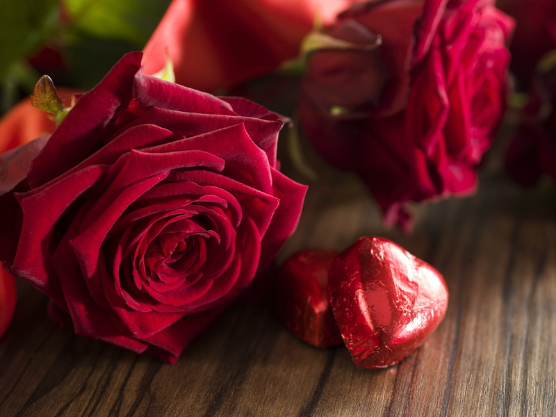 roses, romantic, gift, valentine`s day, red roses, hearts, love, heart, red, 5K