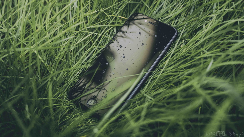 land, droplet, morning, selective focus, beauty in nature, grass, grass area, growth, close-up, man made object, makro, mobile, field, plant, green color