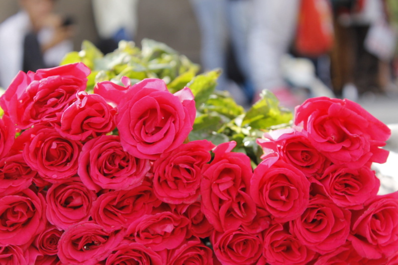 group, close-up, bouquet, pink color, nature, flower head, flower, rose, plant, valentines day - holiday, flower arrangement, pink roses, outdoors, vulnerability