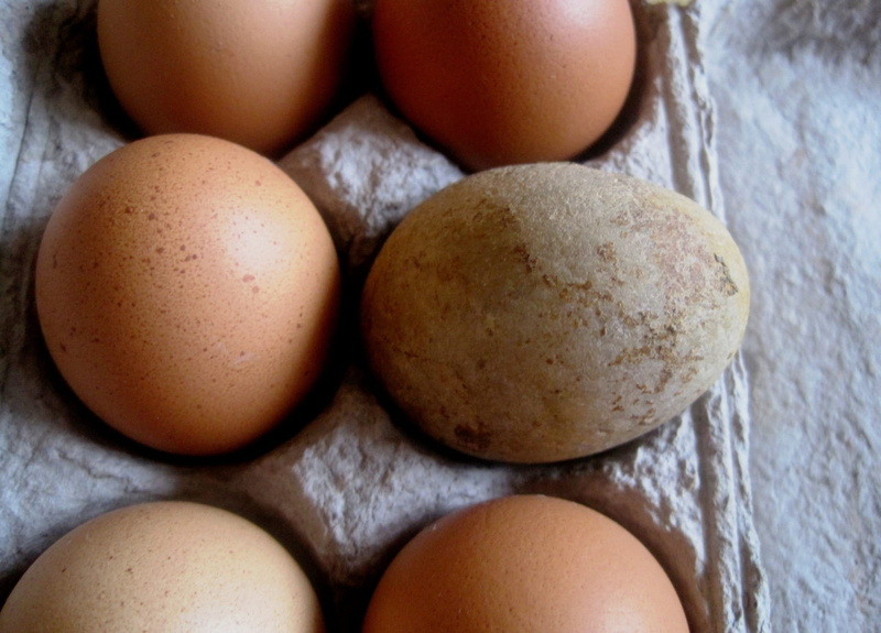 cardboard, fresh, brown, breakfast, group of objects, close-up, Egg, indoors, Dozen, fragility, still life, half dozen, natural, Eggs, wellbeing, shell