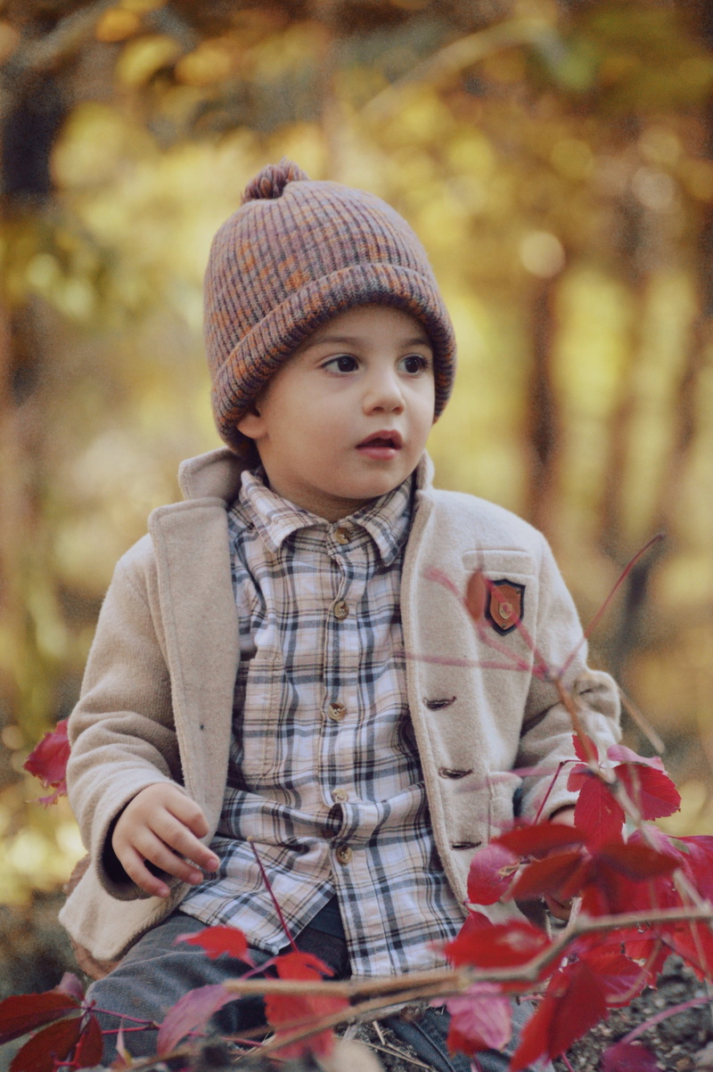 trees, autumn, 4K, nature, small, portrait, joy, hat, landscape, atmosphere, away, warm clothing, cute, child, one person, looking, yellow, boy, plant