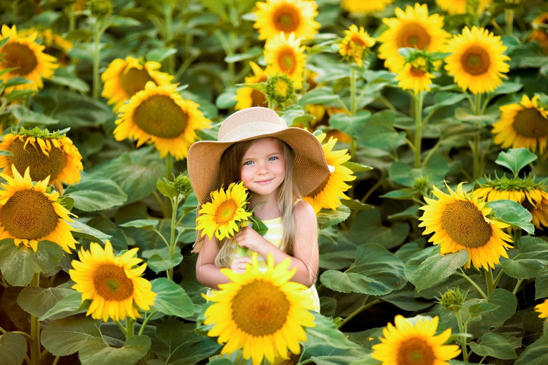 Child, Little Girl, Hat, Photography, 1080P, Summer, Girl, Yellow Flower, Flower