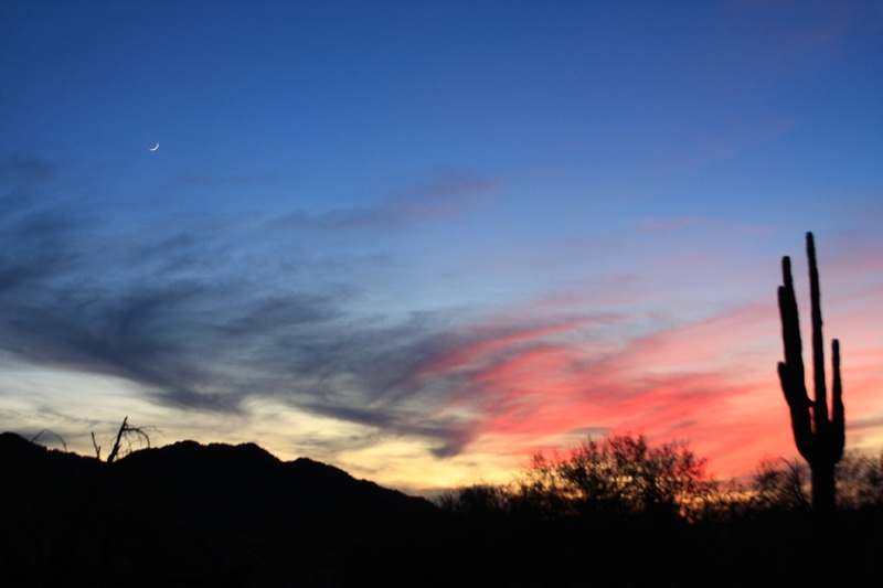 outdoors, environment, tranquil scene, dusk, plant, low angle view, non-urban scene, silhouette, sunset, southwest, scenics - nature, 1080P, moon, tree