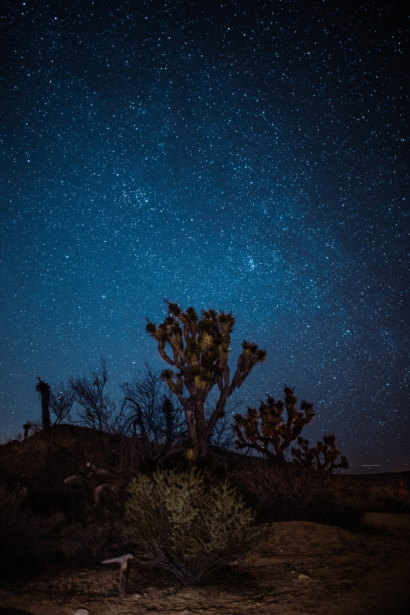 tranquil scene, galaxy, stars, star - Space, space and astronomy, star, dark, 5K, blue, space, tree, highland, moon, no people, astronomy, constellation