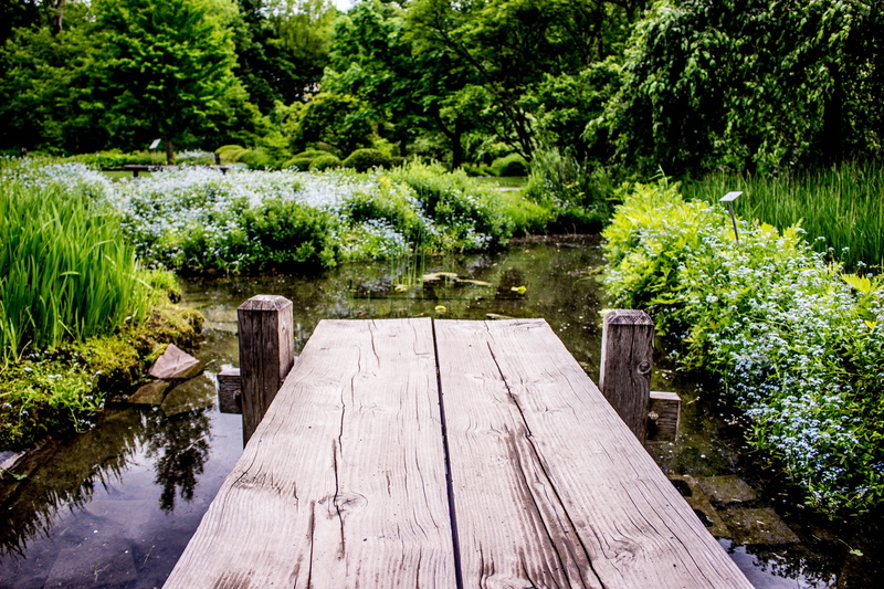 woods, environment, bridge - man made structure, wooden, nature, scenic, tree, brown, lake, plant, green color, blooming, daylight, non-urban scene, leaves