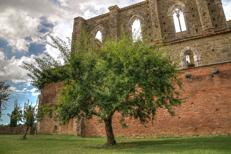 nature, field, growth, stone, tuscany, church, grass, architecture, italy, land, old, ancient, the past, ruin, outdoors, medieval, ruins, place of worship