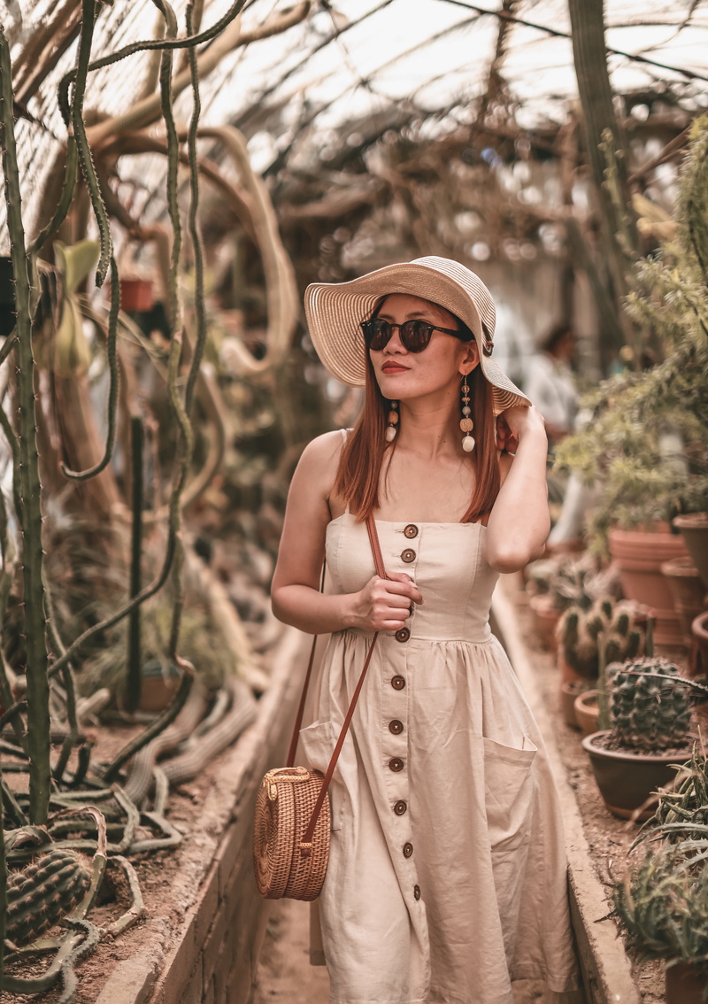 smile, potted plants, sun hat, woman, fashionable, young women, clothing, vacation, women, standing, travel, outfit, beauty, cactus plants, hair, hairstyle