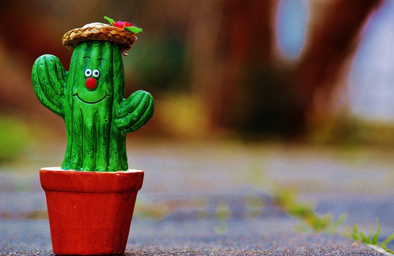 5K, focus on foreground, ceramic, creativity, funny face, statue, no people, cute, religion, face, human representation, craft, garden, male likeness