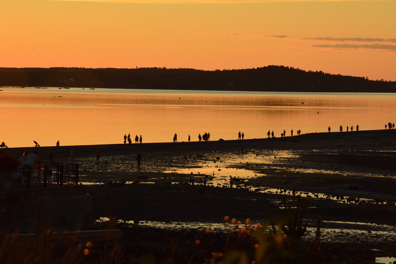 tide out at sunset, silhouette, bar, tranquility, tide, maine, harbor, sunset, lake, no people, idyllic, nature, photo, cloud - sky, reflection, water line