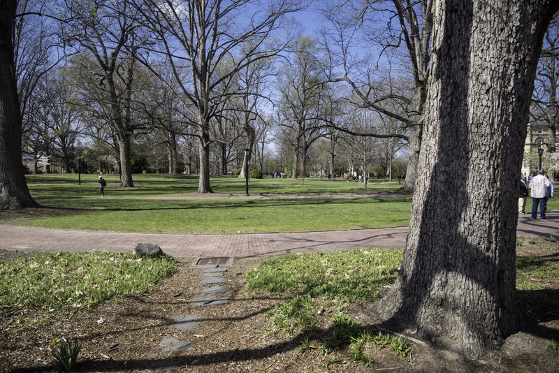 bare tree, beauty in nature, carolina, landscape, main, North Carolina, footpath, View, day, north carolina, public domain, UNC, grass, no people, quad