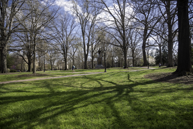 hill, growth, chapel, outdoors, 5K, photos, trunk, scenics - nature, north carolina, beauty in nature, landscape, main, sky, tree, lawn, bare tree, main quad