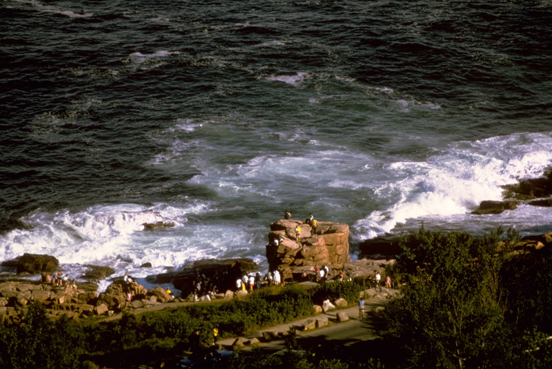 beach, beauty in nature, water, motion, outdoors, architecture, Coastline, Rugged, nature, park, acadia, plant, public domain, sport, sea, travel Locations