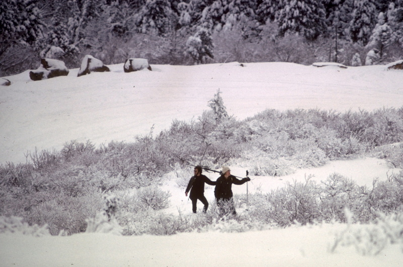 landscape with snow, cold - Temperature, leisure activity, warm clothing, covering, national, field, maine, environment, outdoors, human arm, plant, landscapes