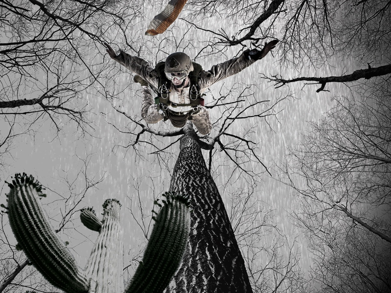 flight, plant, outdoors, composing, branch, risk, land, case, nature, no people, mood, landing, photo montage, tree trunk, forest, 2K, parachute, low angle view