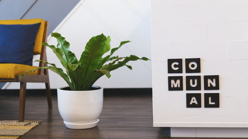 plant part, number, design, communication, indoors, decoration, interior, plant, living, houseplant, pot, home interior, green, potted plant, pillow, nature