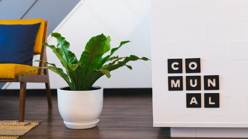 modern, bright, work, room, leaf, beside, houseplant, remote, leafed, technology, chair, inside, white, plant part, home, wall - building feature, furniture