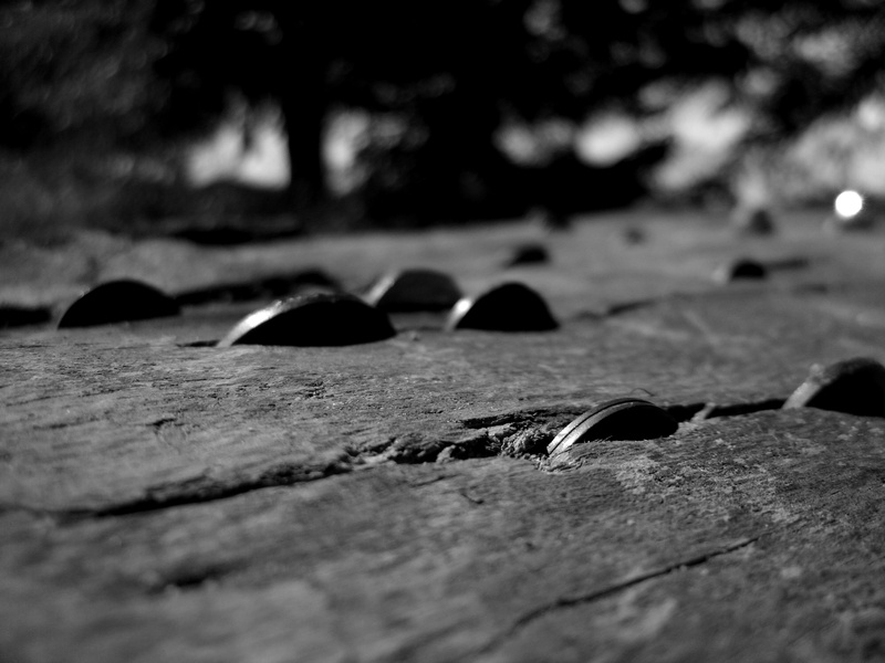 nature, textured, focus on foreground, plant part, wood - material, close-up, 4K, wooden surface, no people, glasses, outdoors, land, leaf, still life