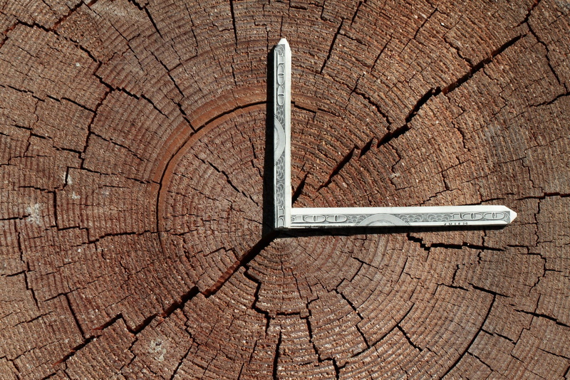 stump, Money, backgrounds, nature, Tree Rings, cracked, tree ring, brown, no people, circle, Tree, day, bill, textured, arid climate, tree, tree stump